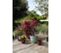 Горшок цветочный EDA OSAKA, круглый, диам. 25,6 см, объем 6,5 л, полипропилен PP 013580 G.ANT 3