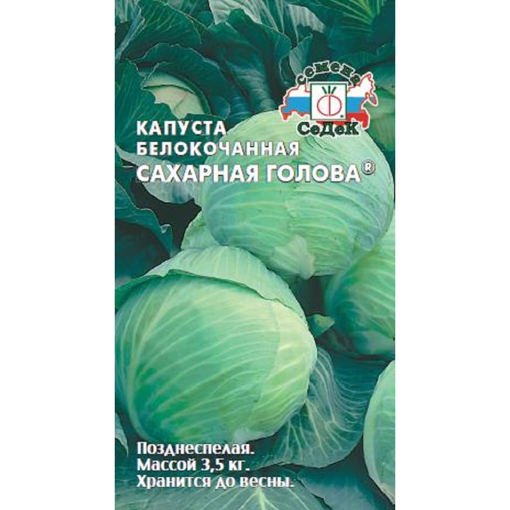 Капуста СеДек Сахарная Голова ХИТ белокочанная, позднеспелая, округлая ...