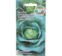 Капуста СеДек Харьковская Зимняя белокочанная, позднеспелая, округло-плоская, 3.5-4.2 кг, евро, 0.5 г 15292