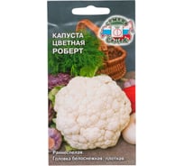 Капуста СеДек Роберт цветная, раннеспелая, округлая, 0.8-1.3 кг, евро, 0.5 г 14173