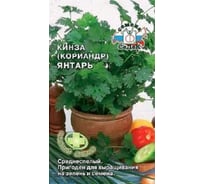 Кориандр СеДек Янтарь среднеспелый, светло-зеленый, сильный аромат, 40-50 см, евро, 2 г 13787