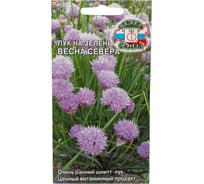 Лук СеДек Весна Севера шнитт, раннеспелый, темно-зеленый, полуострый, 20-25 см, евро, 0.5 г 13636