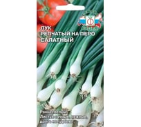 Лук СеДек Салатный ДУ на перо, раннеспелый, овальный, белый, полуострый, 50-60 г, евро, 1 г I0000014907