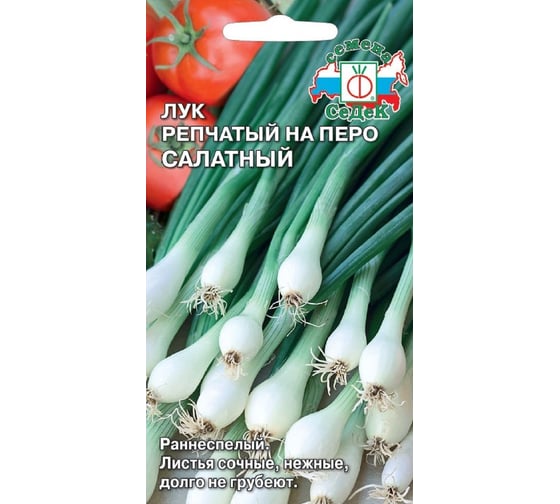 Лук СеДек Салатный ДУ на перо, раннеспелый, овальный, белый, полуострый, 50-60 г, евро, 1 г I0000014907 1
