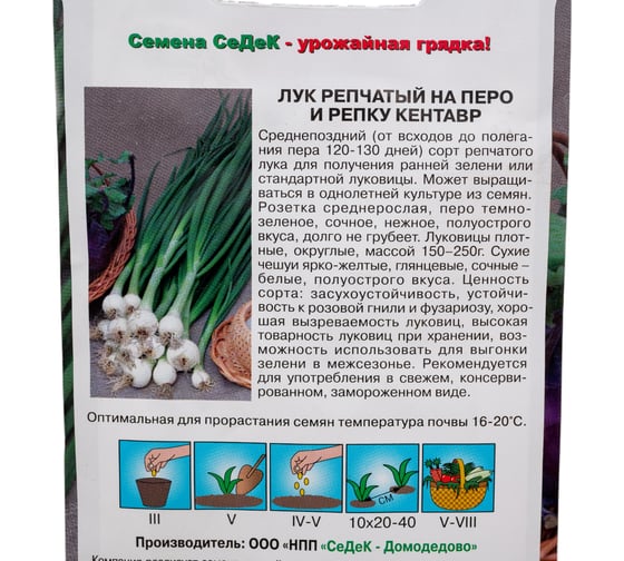 Лук СеДек Кентавр репчатый на перо и репку, среднепоздний, округлый, ярко-желтый/белый, полуострый, 150-250 г, евро, 1 г I0000002216
