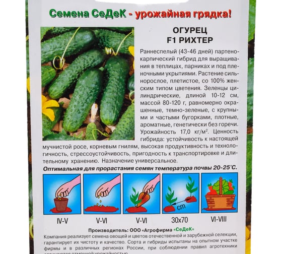 Огурец СеДек Рихтер F1 (ХИТ ранний, ПК, ПУ, тепл, 10-12см, 80-120г, 17кг/кв.м, без горечи, стрессоуст.). Евро, 8 I0000001042