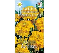 Тагетес отклоненный Артикул Прима Голд 0.3 г, однолетний, евро 4607089749378