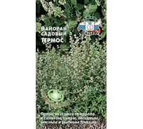 Майоран СеДек Термос однолетний, зеленый/белый, пряный вкус, лекарственный, 35-40 см, евро, 0.05 г 14678