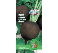 Редька СеДек Зимняя круглая черная ДУ, среднеспелая, округлая, черная/белая, острая, 250-550 г, евро, 1 г I0000012716