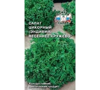 Салат СеДек Весеннее Кружево (эндивий) (ран.спел.,удл.рассечен.кудряв.,зелен., с горечью). Евро, 0,5 15090