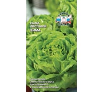 Салат СеДек Зима (листовой) (ск.спел.,ОГ/ПУ,некрупн.,ср.плотн.,св.-зелен.,маслян.). Евро, 0,5 16392