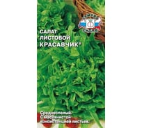 Салат СеДек Красавчик (листовой) (ср.спел.,пер.-рассеч.,зелен.,маслян.,отл.вкус, 250-270 г.). Евро, 0,5 15624