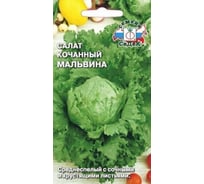 Салат СеДек Мальвина (айсберг) (ср.спел., окр.ср.плотн.,ср.разм/волнист., зелен., хруст., 200-240 г.). Евро, 0,5 14543