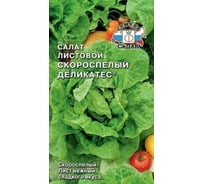 Салат СеДек Скороспелый Деликатес (листовой) (ХИТ ск.спел., ОГ/ПУ, крупн., зелен., нежн., сочн., 100-120 г.). Евро, 0,5 13588
