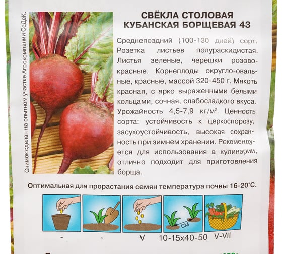 Свекла СеДек Кубанская борщевая 43 (столовая) (ср.поздн., окр.-овал., красн./красн.с бел.кольц., 320-450 г.). Евро, 3 15807