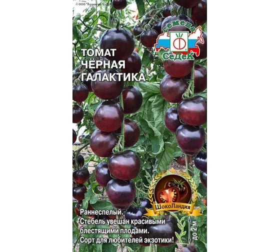 Томат СеДек Черная Галактика ранний, ЗГ, ПУ, индетерминантный, округлый, фиолетово-коричневый, до 70 г, евро, 0.05 г I0000015192
