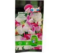 Цветок СеДек Душистый горошек Венеция (чина душистая, маммут, смесь цветов) ДУ. Евро, 0,5 I0000014969