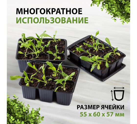 Кассета для рассады Без бренда 180 х 135 х 60 мм 6 ячеек полистирол 5 шт. 64346