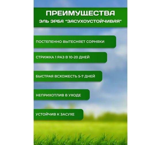 Газонная травосмесь Эль-Эрба "Засухоустойчивая" 5 кг E065
