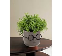 Кашпо IDEA Стив D115 мм, 0,65л со вставкой французcкий серый М 3079 французcкий серый