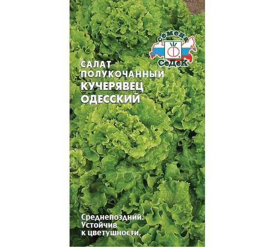 Салат Кучерявец Одесский (полукочанный) СеДек ДУ. Евро, 0,5 I0000013090 1