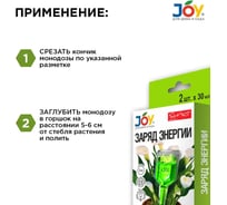 Удобрение Joy ЗАРЯД ЭНЕРГИИ монодоза 60мл - 2 ампулы по 30 мл АС0031