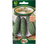 Огурец Агрохолдинг ПОИСК Маринда F1 12шт 400162
