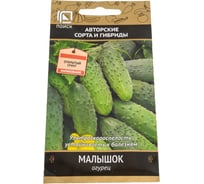 Огурец Агрохолдинг ПОИСК Малышок (А) 15шт 400152