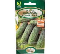 Огурец Агрохолдинг ПОИСК Моравский корнишон F1 12шт 400253