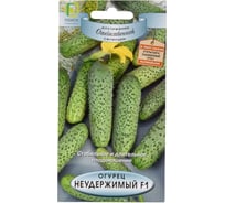 Огурец Агрохолдинг ПОИСК Неудержимый F1 (А) 12шт 721884