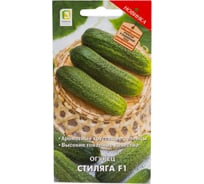 Огурец Агрохолдинг ПОИСК Стиляга F1 (А) 12шт 733203