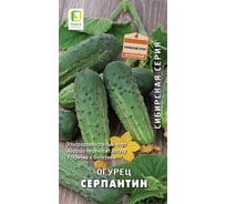 Огурец Агрохолдинг ПОИСК Серпантин 15шт ЧБ 400494