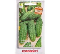 Огурец Агрохолдинг ПОИСК Соловей F1 12шт 400516