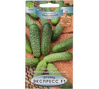 Огурец Агрохолдинг ПОИСК Экспресс F1 (А) 12шт 721888