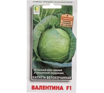 Капуста белокочанная Агрохолдинг ПОИСК Валентина F1 0.2 гр 723881