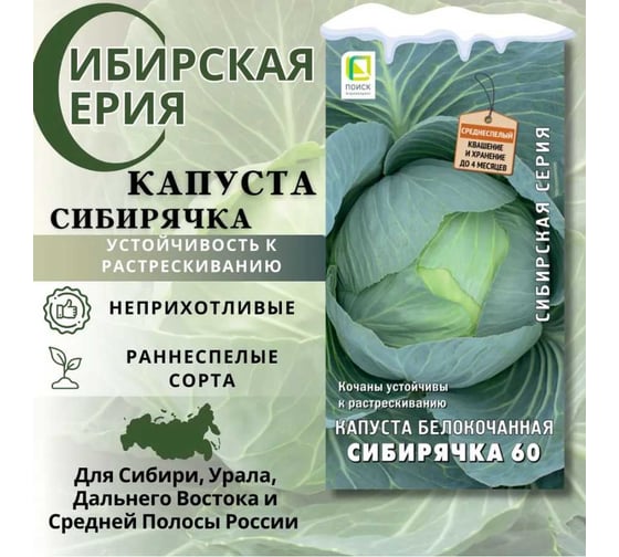 Капуста белокочанная Агрохолдинг ПОИСК Сибирячка 60 0.5 гр ЧБ 280301 1