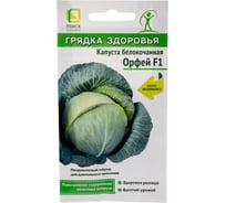 Капуста белокочанная Агрохолдинг ПОИСК Орфей F1 (А) 0.2 гр 812951