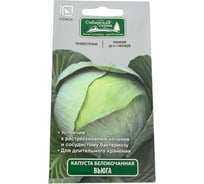 Капуста белокочанная Агрохолдинг ПОИСК Вьюга 0.5 гр 280139