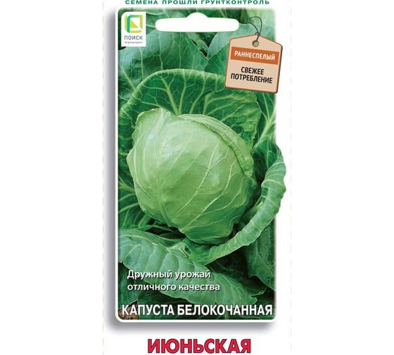 Капуста белокочанная Агрохолдинг ПОИСК Июньская 0.5 гр 280175 1