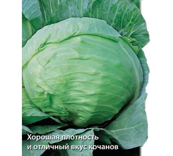 Капуста белокочанная Агрохолдинг ПОИСК Харьковская зимняя 0.5 гр ЧБ 280348
