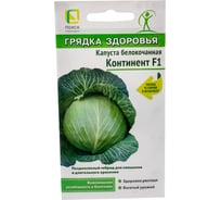 Капуста белокочанная Агрохолдинг ПОИСК Континент F1 (А) 0.2 гр 812963