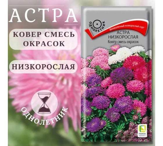 Астра Агрохолдинг ПОИСК низкорослая Ковер смесь окрасок 0,3гр ЧБ 835470