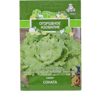 Салат Соната Агрохолдинг ПОИСК (А) 1гр ОИ 724078