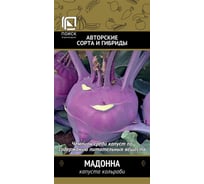 Капуста кольраби Агрохолдинг ПОИСК Мадонна (А) 0.5 гр 280449