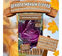 Капуста краснокочанная Агрохолдинг ПОИСК Красное сердце (А) 0.1 гр 794737