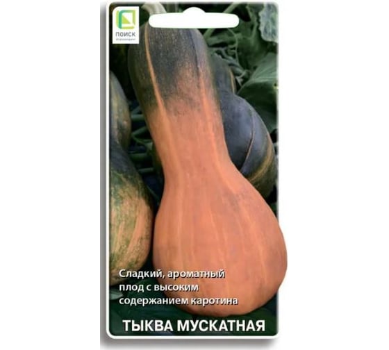 Тыква мускатная Агрохолдинг ПОИСК Арабатская 10шт 811611