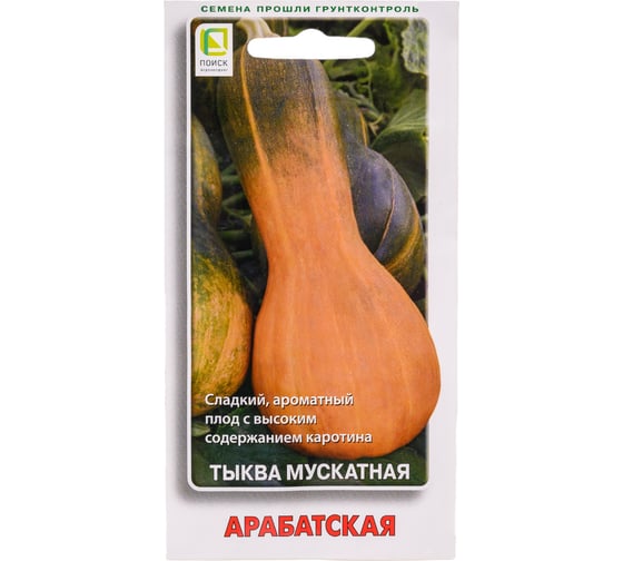 Тыква мускатная Агрохолдинг ПОИСК Арабатская 10шт 811611 1