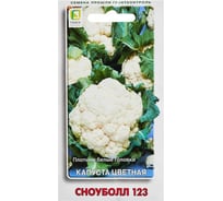 Капуста цветная Агрохолдинг ПОИСК Сноуболл 123 0,5гр ЧБ 280572