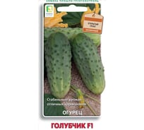 Огурец Агрохолдинг ПОИСК Голубчик F1 12шт 390887