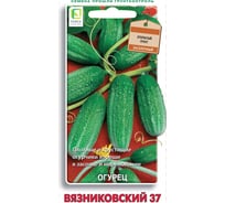 Огурец Агрохолдинг ПОИСК Вязниковский 37 15шт 700458